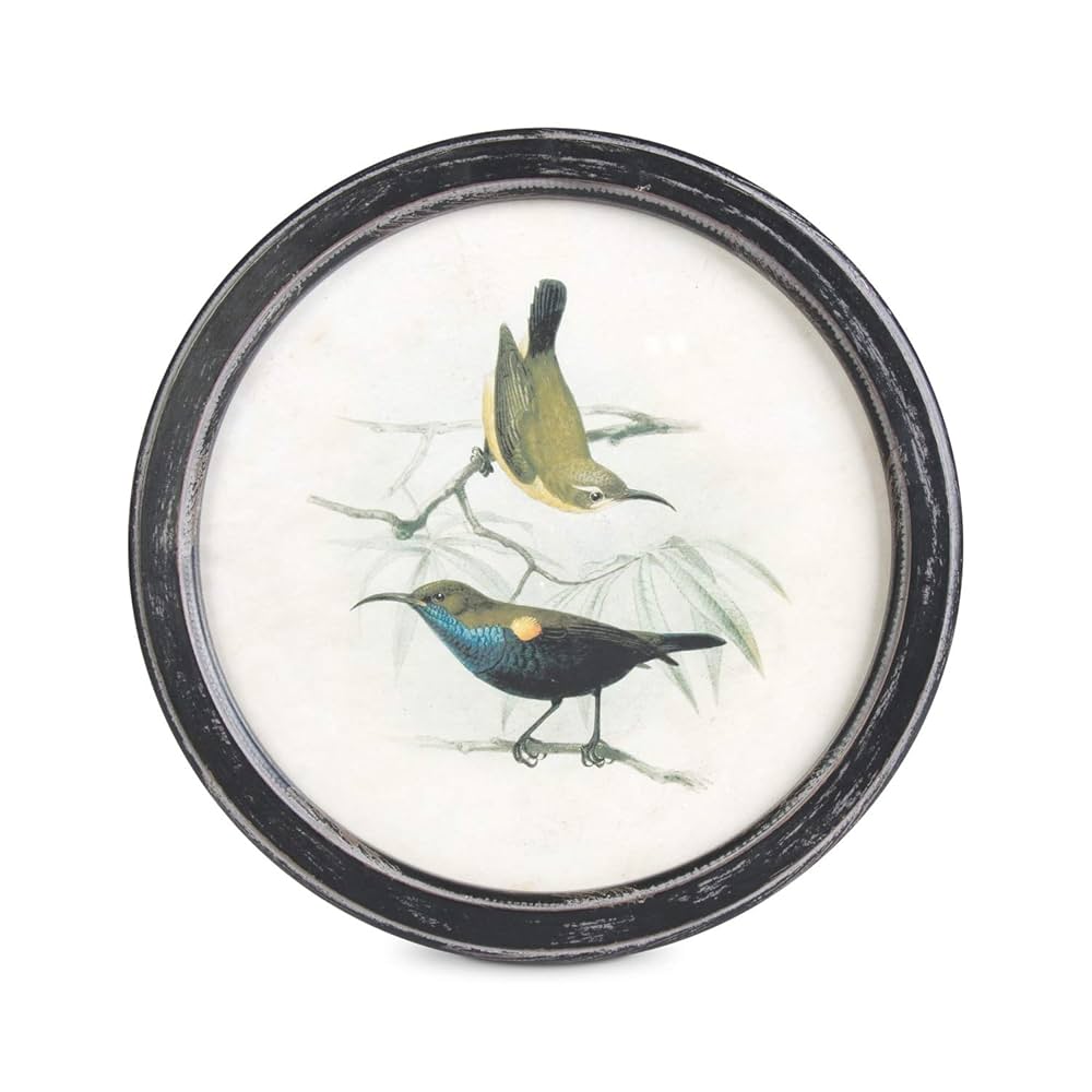 Amazon.com - K&K Interiors 16260A Assorted 13.75 Inch Round